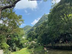 -黔灵山公园