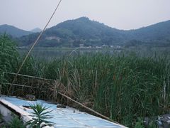 -鸣鹤古镇
