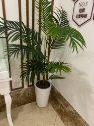 -顺德壹加壹美容医院