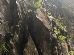 -武隆天坑地缝国家地质公园