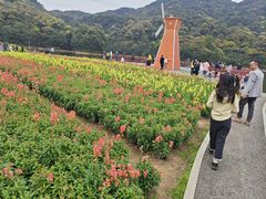 -广州市石门国家森林公园