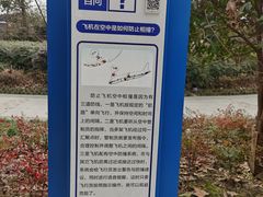 -成飞公园
