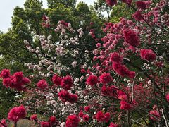 -无锡惠山寺