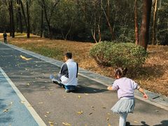 -聚龙山公园