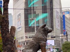-涩谷全向十字路口