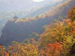 -国家植物园(地铁站)