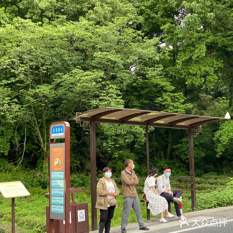 杭州旅游 | 青竺茶食 
