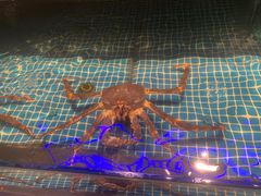 -驻海渔市(置信店)