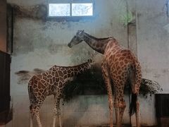 -重庆动物园·东二门售票处