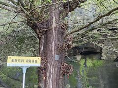 -大慈岩风景区