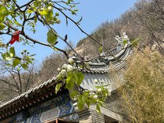 -天津盘山风景名胜区