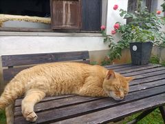 -小雅青年旅舍(平江路店)