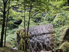 -梭布垭石林景区