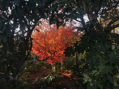 -大理地热国