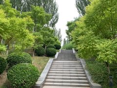 -潇河湿地公园