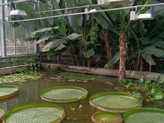 -国家植物园南园