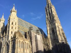-斯蒂芬主教座堂(Stephansdom)