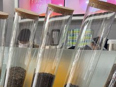 -雾与山茶(大禹城店)