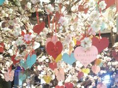 -蜜桃餐厅·江浙融合菜(荟聚购物中心店)