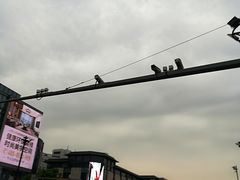 -第一百货(姑苏店)