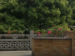 -杭州香格里拉·香宫中餐厅