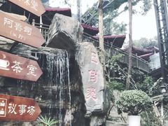 -伴山茶苑·一盏冰茶·半日山居