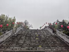 -洛阳市隋唐城遗址植物园