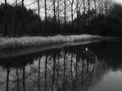 -溱湖国家湿地公园