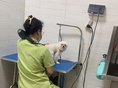 -芭比堂动物医院广州顽皮分院