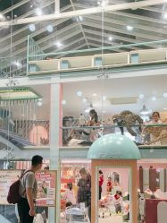 -奈尔宝·儿童乐园·亲子餐厅(星河湾店)