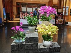 -黔蘑菇四季餐厅(观山湖店)