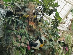-正佳雨林生态植物园