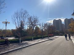 -山东外贸职业学院