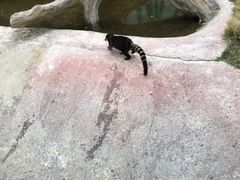 -泉州海丝野生动物世界