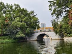 -荔湾湖公园