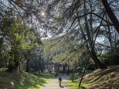 -杭州植物园