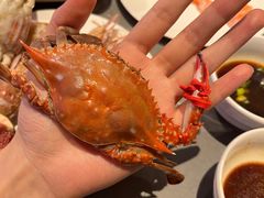 -一方渔歌蒸汽海鲜自助(文化路万达广场店)