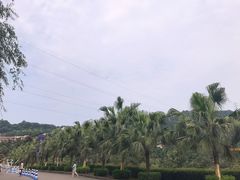-重庆海昌加勒比海水世界