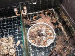 -江户前日本料理(瑞诗酒店店)