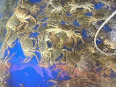 -阳澄湖大闸蟹·琼灵阁牌品牌连锁(吴中总店)