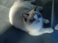 -零纪元VR体验馆·桌游(黄浦店)