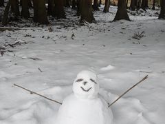 -武陵山森林公园
