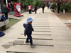 -白马涧龙池景区