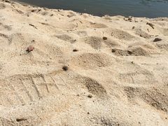 -佛山祈福仙湖酒店