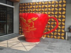 -巴厘岛黄金金兔咖啡工厂
