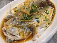 -红灯笼龙凤饭店(宁波老字号店)