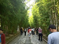-蝴蝶泉公园