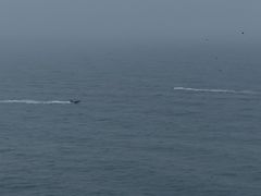 -西涌国际滨海旅游区