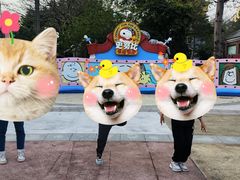 -史努比缤纷世界