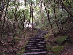 -武夷山风景名胜区-虎啸岩